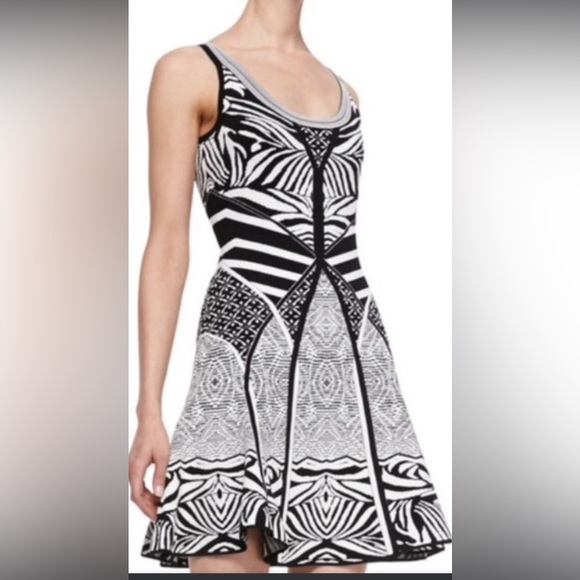 Diane Von Furstenberg Dresses & Skirts - Diane von Furstenberg zebra Print Fit and Flare Dress… excellent quality…